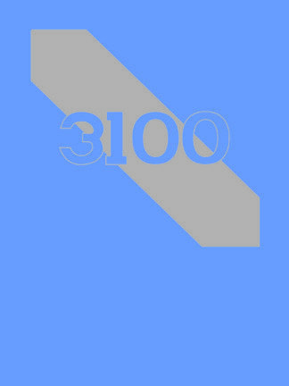 3100th Strategic Intelligence Group