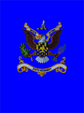313TH Regiment